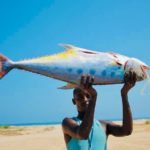 الأسماك الصومالية الضخمة 2