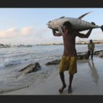 ضخامة الأسماك في السواحل الصومالية
